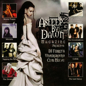 Asleep By Dawn Magazine Presents: DJ Ferret's Underground Club Mix #1