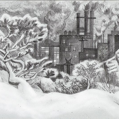 The Symbioz & Avrora6542 Split