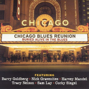 Chicago Blues Reunion: Buried Alive In The Blues