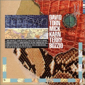 Honey Sweating by David Torn, Mick Karn & Terry Bozzio