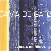 Prateado by Cama De Gato