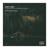 Three Drops of Dopamine (Remixes)