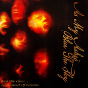 As My Ashes Blur The Sky: First Was Chaos...In The Stench Of Parasites - Single