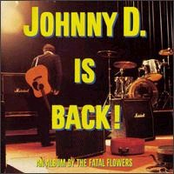 Johnny D. Is Back!