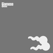 Siamese Semen