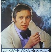 predrag zivkovic tozovac