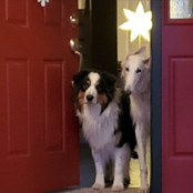 pretty stupid lol (77)