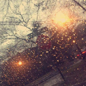 Please Never Fall in Love Again