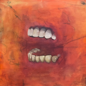 Vision Arcade: Crazed