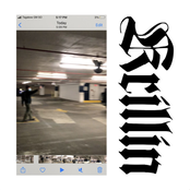 They Are Gutting a Body of Water: krillin