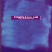 A Tribute To Depeche Mode - Sweetest Temptation