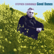 Love Streams by Stephen Cummings