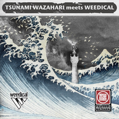 Tsunami Wazahari meets Weedical