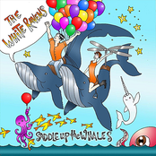 Saddle Up the Whales