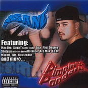 Pimpin' N' Panderin