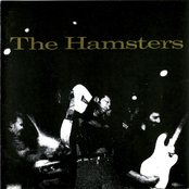 Heart Of Darkness by The Hamsters
