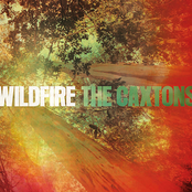 Wildfire