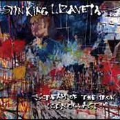 Requiem For A Rock Band by Stinking Lizaveta