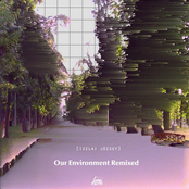Our Environment Remixed