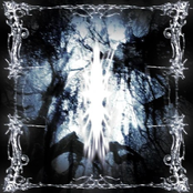 sleeping through this night