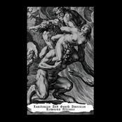 Lusitanian and South American Rawness Alliance