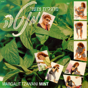 מנטה
