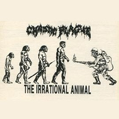 The Irrational Animal