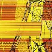 Record Of Shadows Infinite