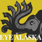 Roll Right Over by Eye Alaska