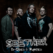 Senseless Tragedy by Seether