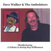 Mostly Sonny - A Tribute To Sonny Boy Williamson