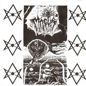 Ruminations of Debauchery