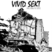 Dance Among the Debris