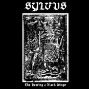 The Beating of Black Wings