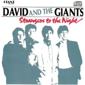 No Compromise by David And The Giants