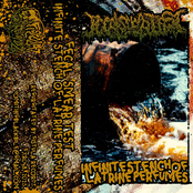 Infinite Stench Of Latrine Parfumes