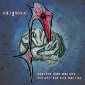 What has risen may sink, and what has sunk may rise