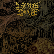 Abhorrent Female Degeneracy by Disciples Of Torture