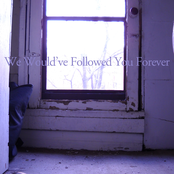 We Would've Followed You Forever