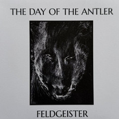 Feldgeister