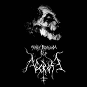 Skinless Propaganda Part II