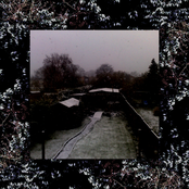 Natural Selections: These Places I Don't Want To Be And People I Don't Want To Know