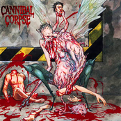 Condemned To Agony by Cannibal Corpse