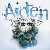 Goodbye We're Falling Fast by Aiden