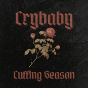 Cuffing Season: Crybaby