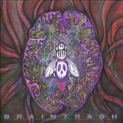 BRAINTRASH
