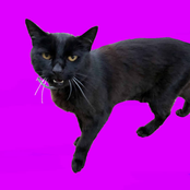 Devotion (Meteorite City)