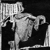 GRVD / Alocasia Garden