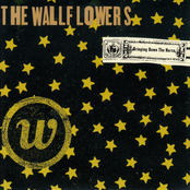 The Wallflowers: Bringing Down The Horse