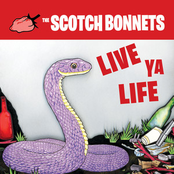 The Scotch Bonnets: Live Ya Life